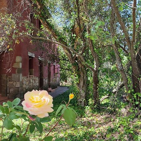 Apartamentos Rurales La Oropendola Jaraiz de la Vera Exterior foto
