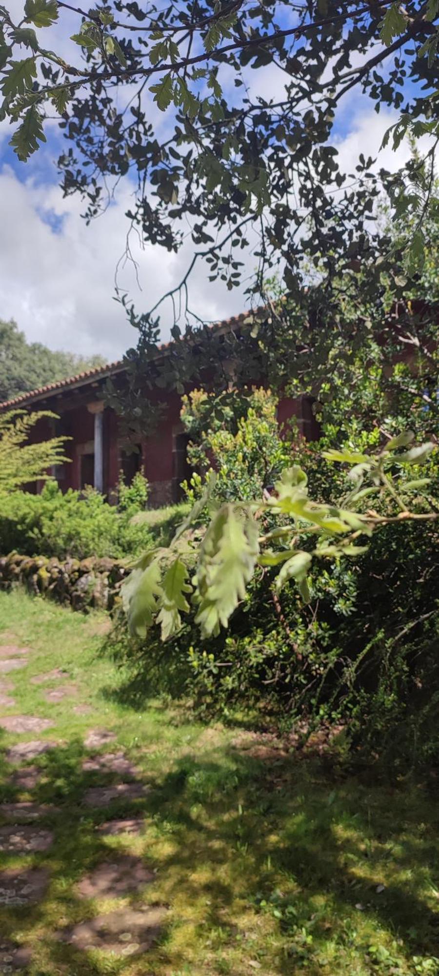 Apartamentos Rurales La Oropendola Jaraiz de la Vera Exterior foto