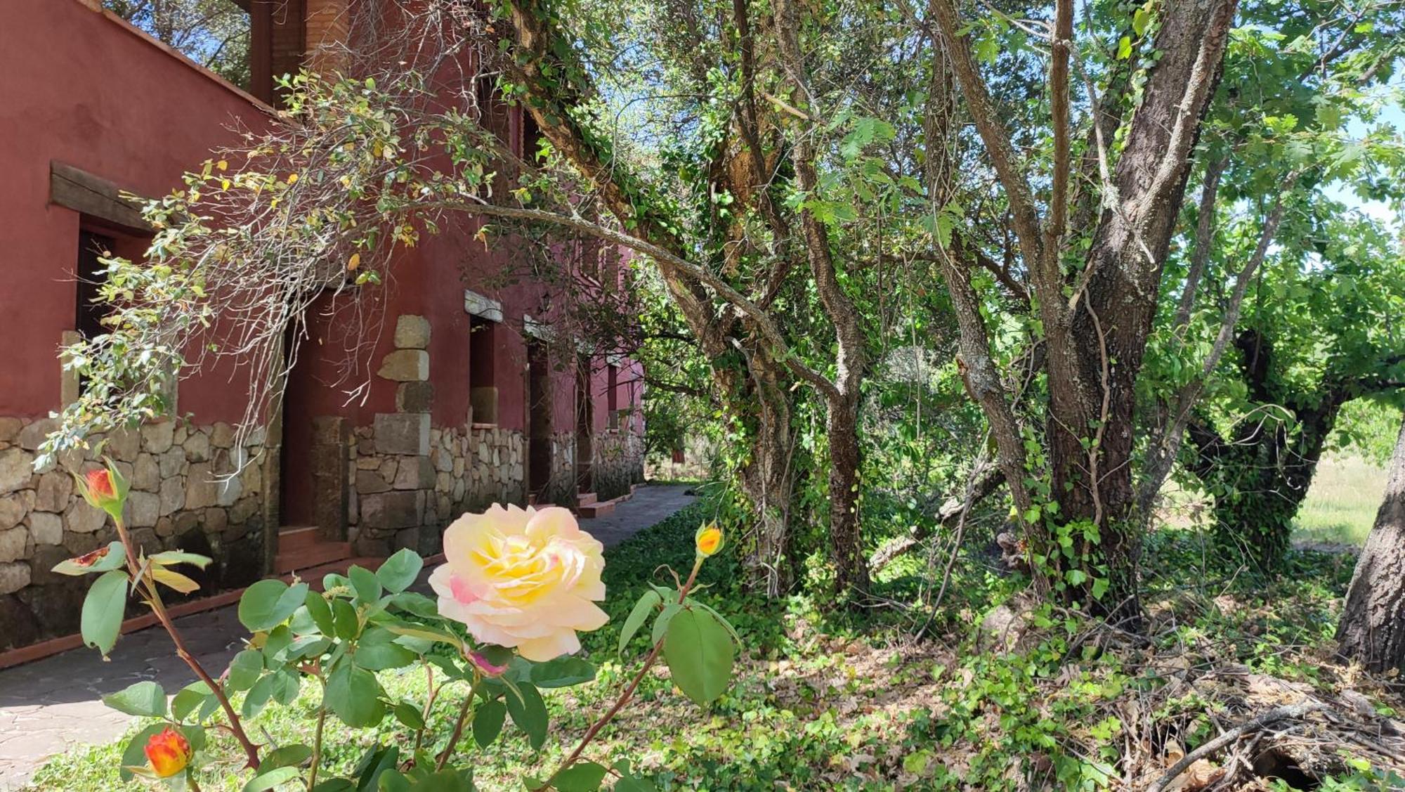 Apartamentos Rurales La Oropendola Jaraiz de la Vera Exterior foto